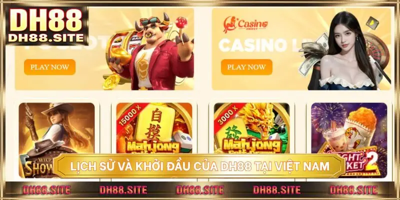 Lịch sử hình thành và khởi đầu của DH88 tại Việt Nam