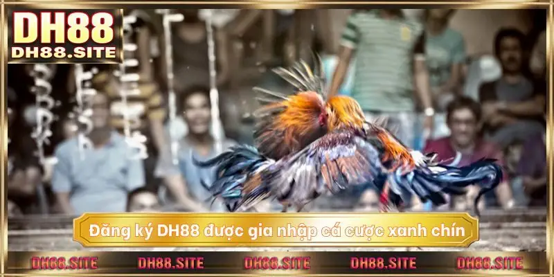 Đăng ký DH88 được gia nhập cá cược xanh chín